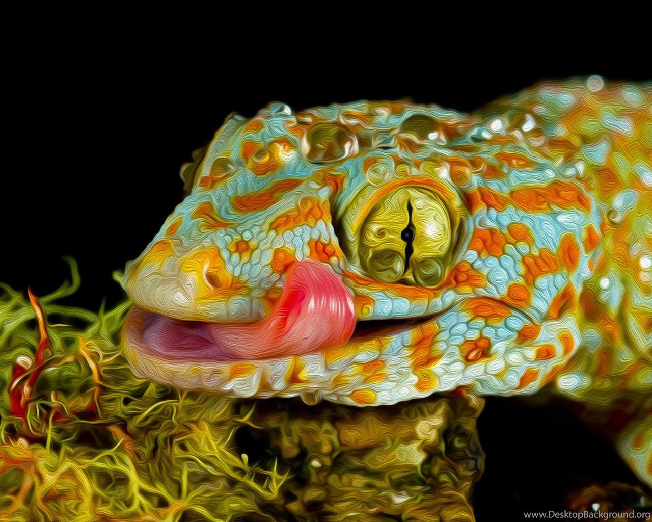 3D Tokay Gecko Wallpapers Desktop Backgrounds