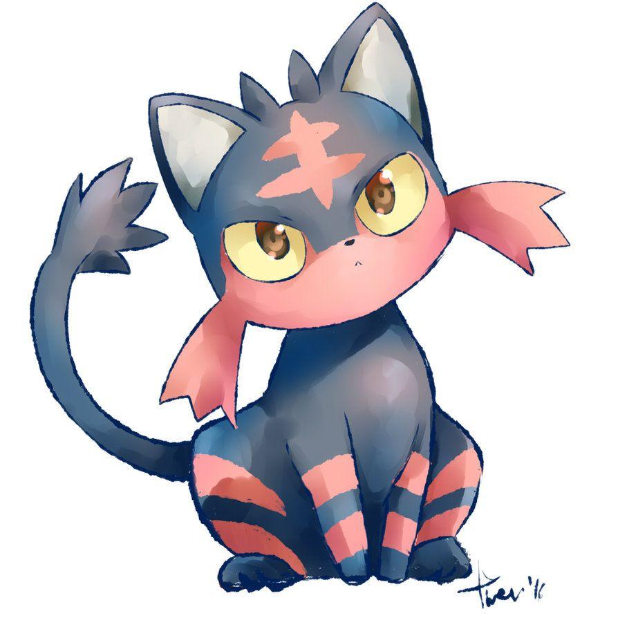 Litten is Lit image Litten HD wallpapers and backgrounds photos