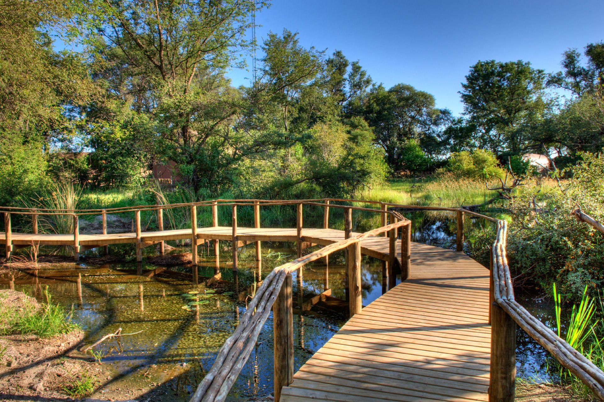 botswana wooden bridge