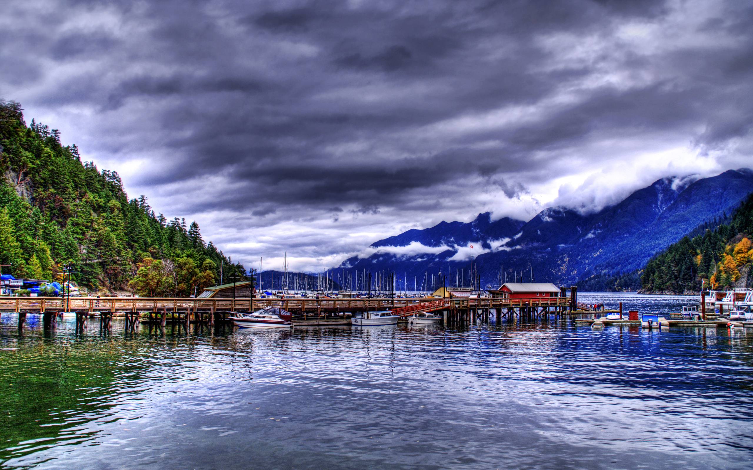 The Fog of British Colombia widescreen wallpapers