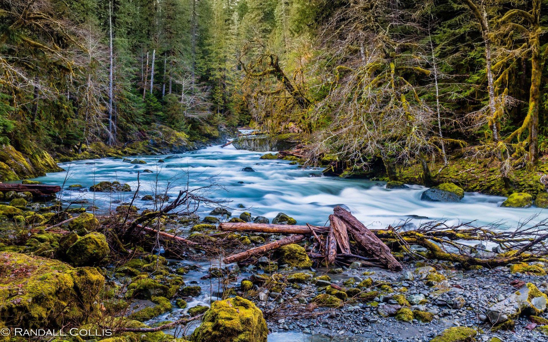 Beautiful Hd Wallpapers North Fork Skokomish River Olympic National