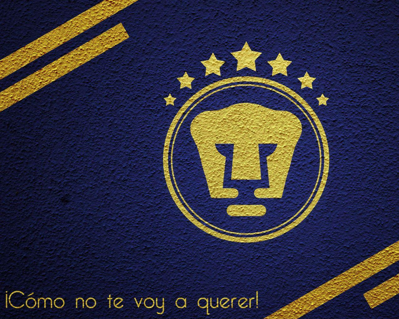 Pumas Wallpapers