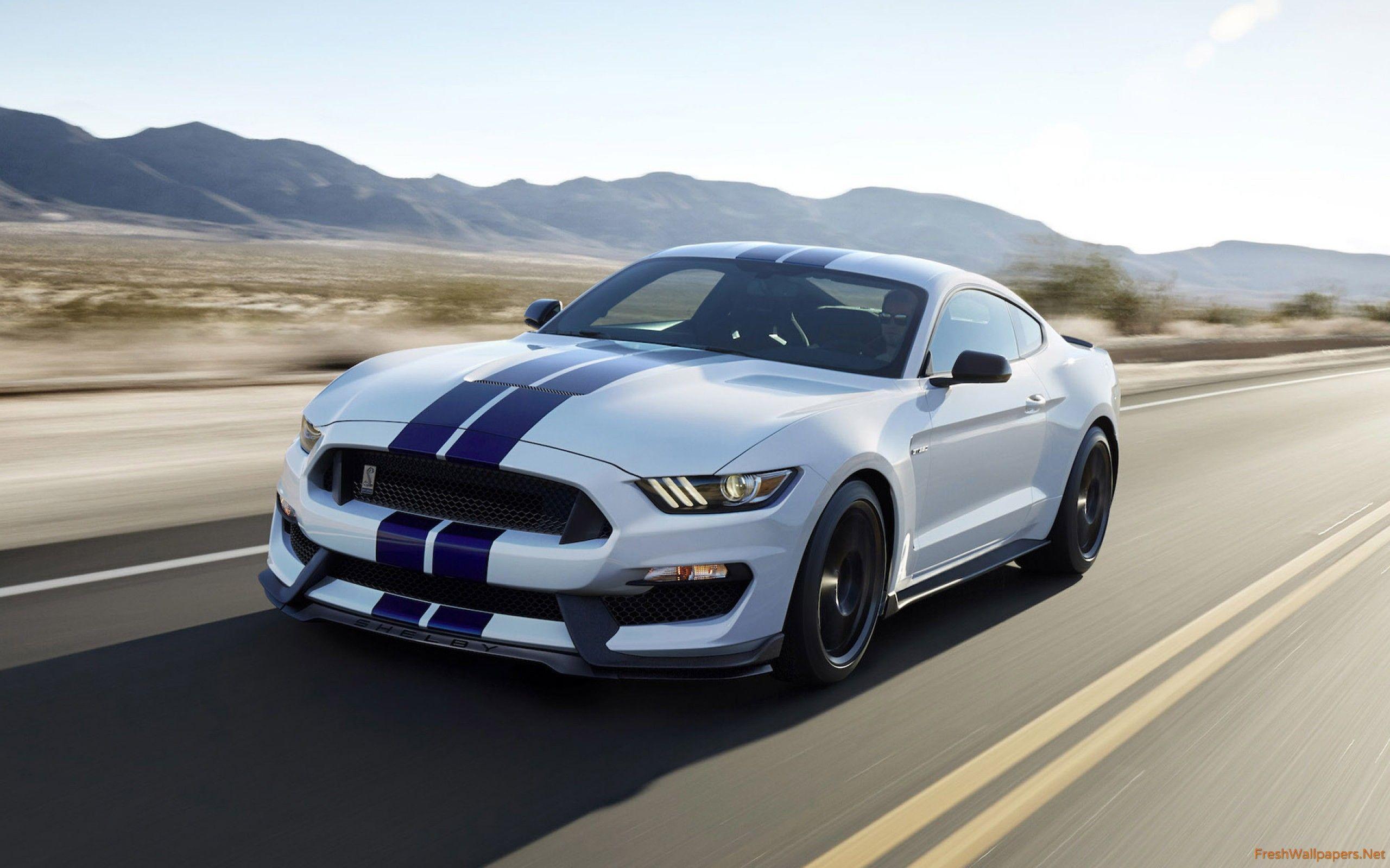 2016 Ford Mustang Shelby GT350 wallpapers