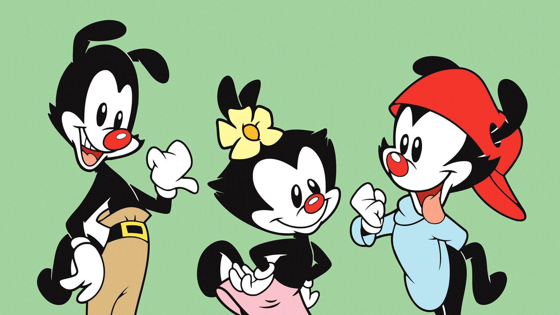 animaniacs wallpapers