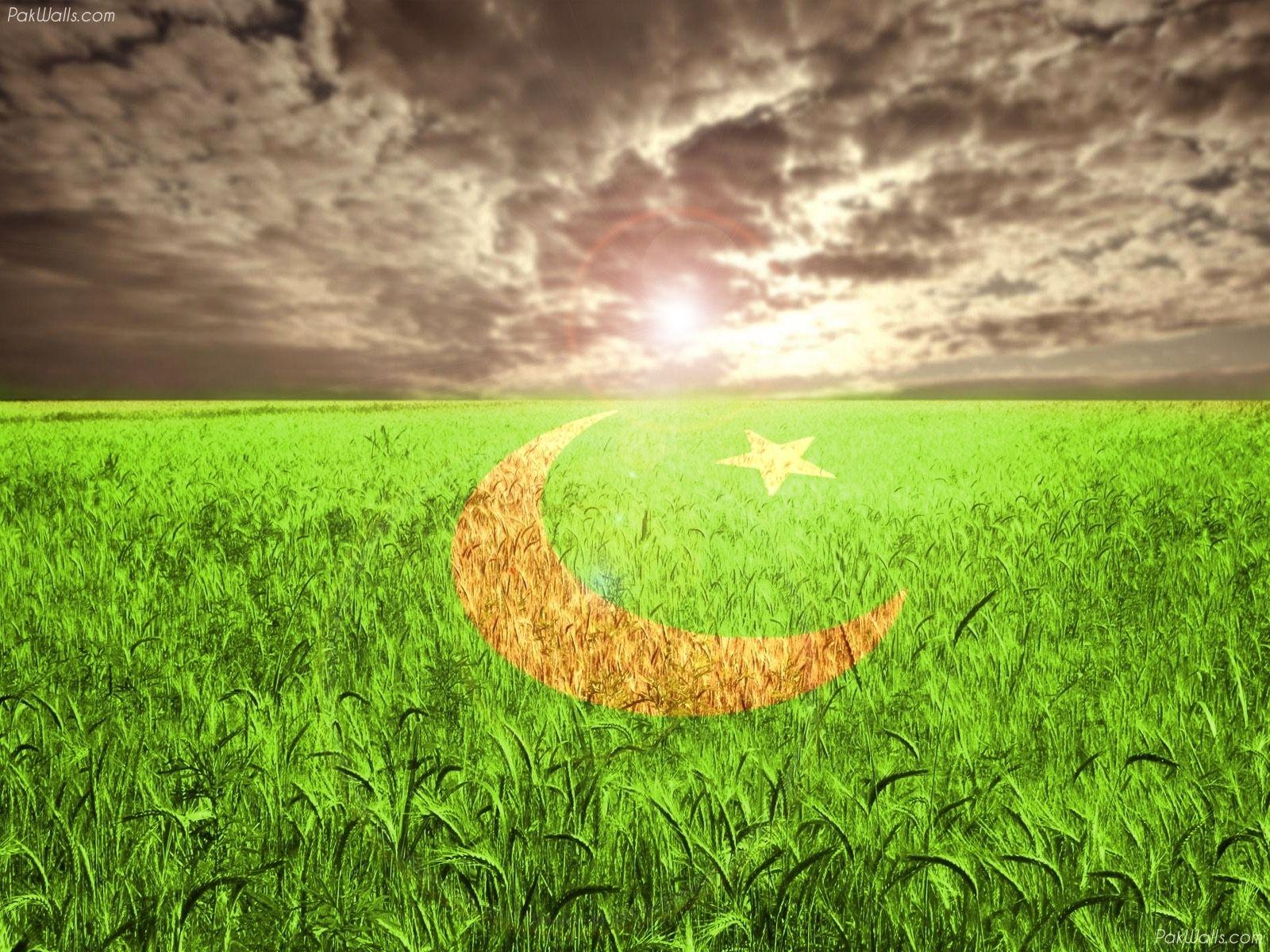 Pakistan Flag Wallpapers 100203