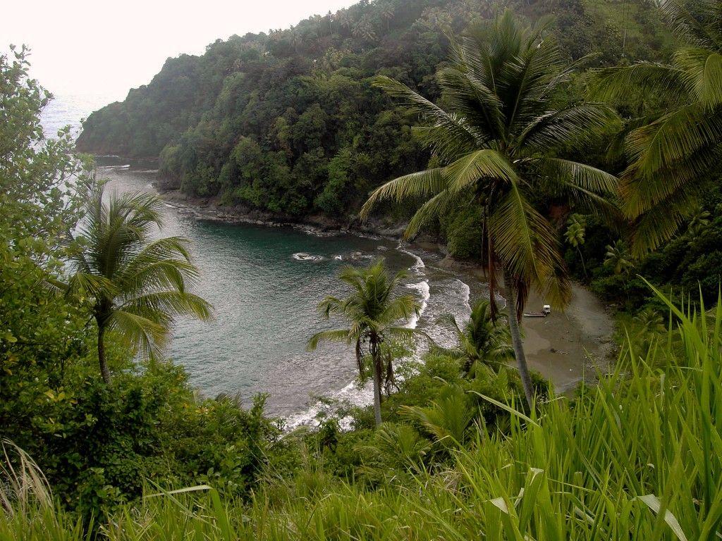 Saint David Parish Dominica