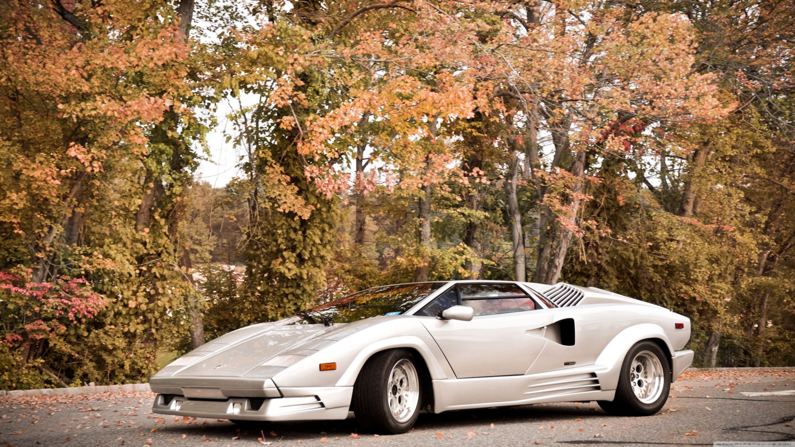 Lamborghini Countach HD desktop wallpapers : Fullscreen : Mobile