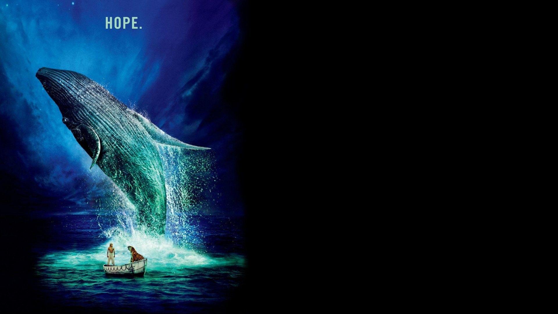 Life Of Pi Wallpapers, Pictures, Image