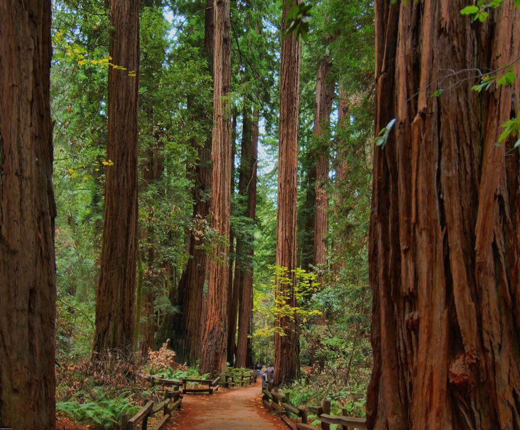 Hidden Gems: 25 Least Crowded U.S. National Parks [50 PICS]