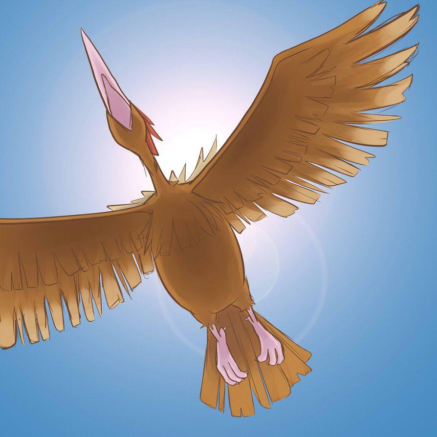 Fearow Wallpaper, PC Fearow Wallpapers Most Beautiful Image