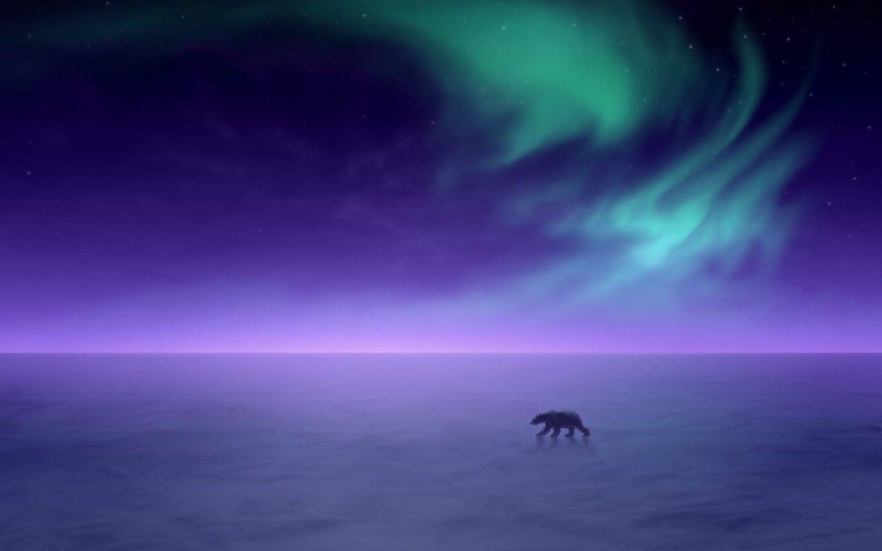 Aurora Borealis Alaska widescreen wallpapers