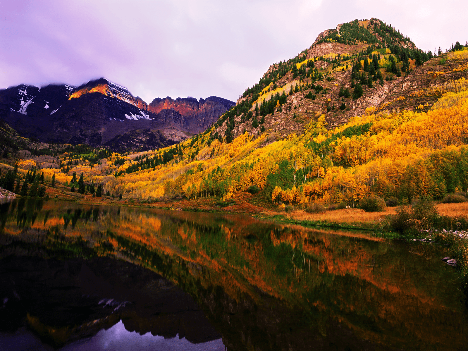 Fall Backgrounds