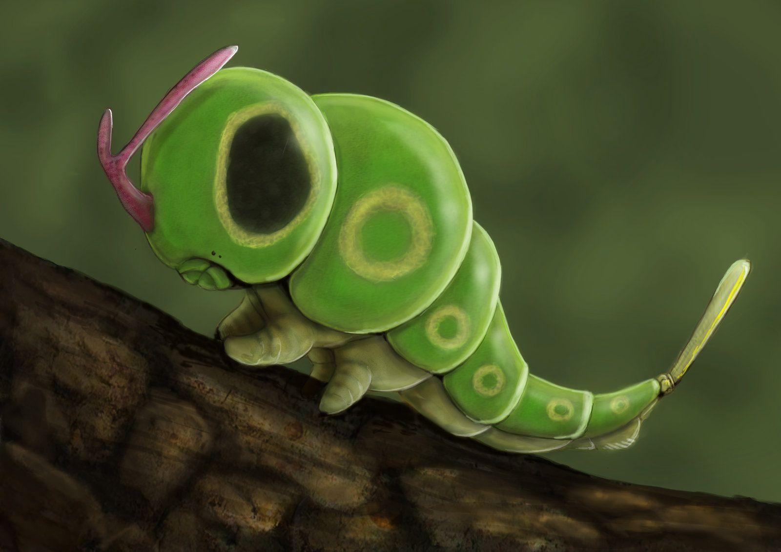 Caterpie by JoshuaDunlop