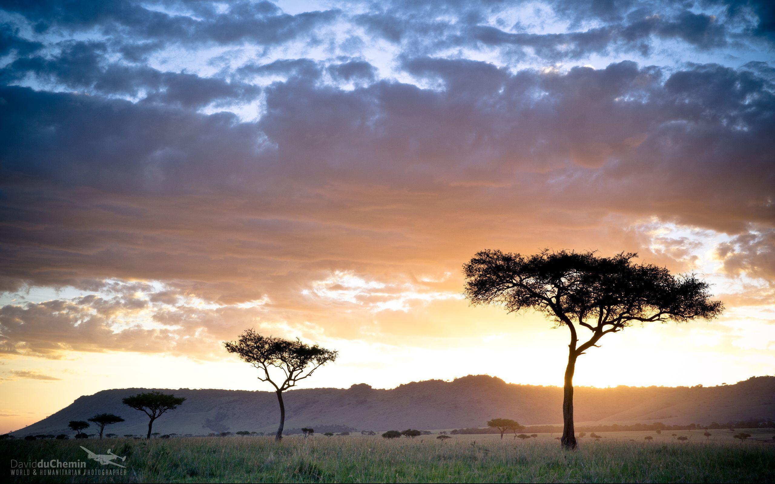 Postcard & Wallpapers from Kenya