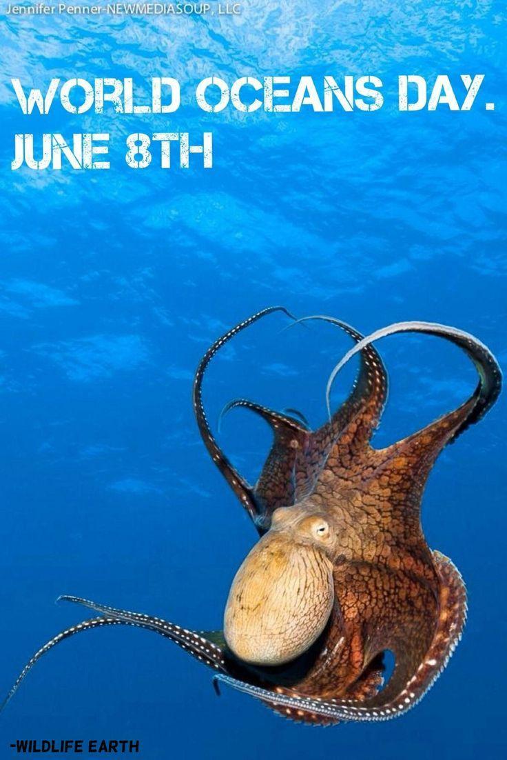 45 Best World Ocean Day Wish Pictures And Image