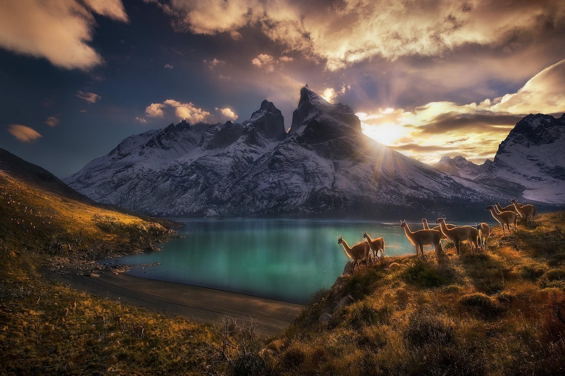 Torres del Paine Wallpapers 19