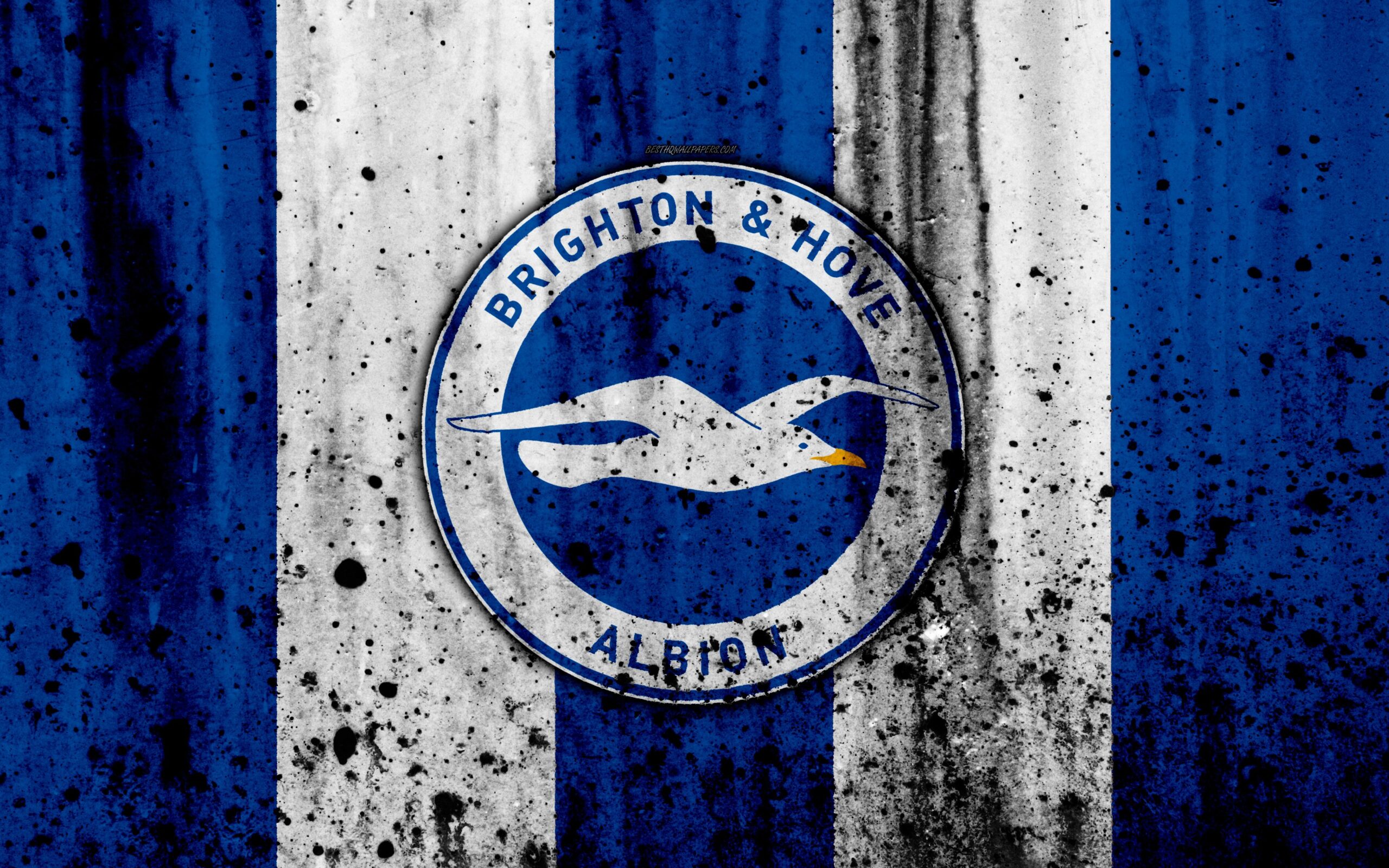 Download wallpapers FC Brighton and Hove Albion, 4k, Premier League