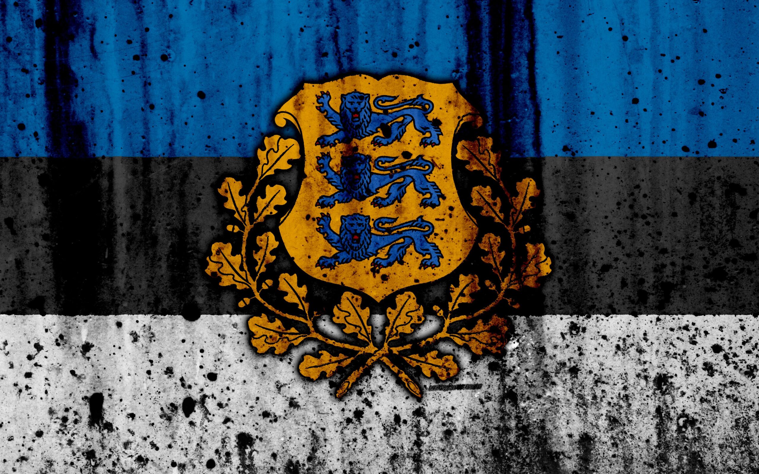 Download wallpapers Estonian flag, 4k, grunge, flag of Estonia