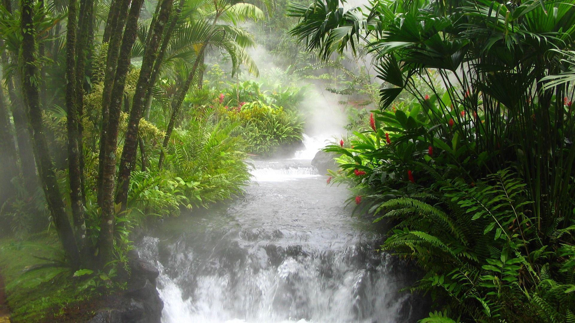 Hot water river in Costa rica wallpapers and image