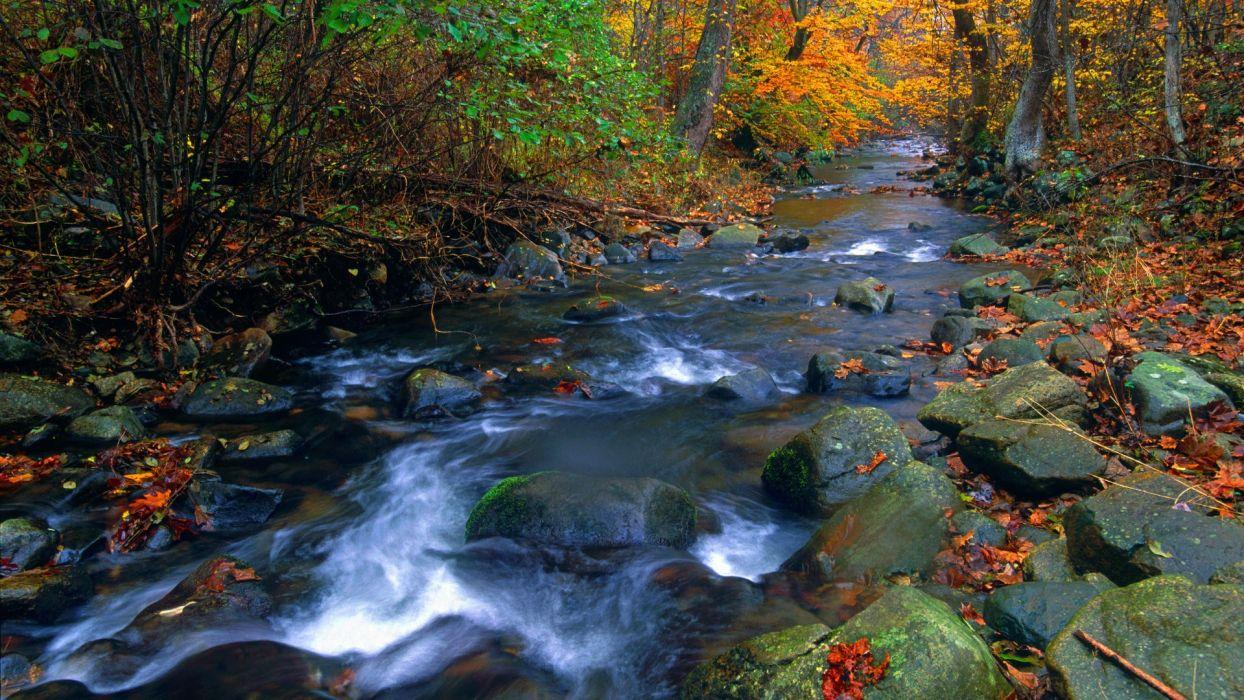 Blue National Park shenandoah wallpapers