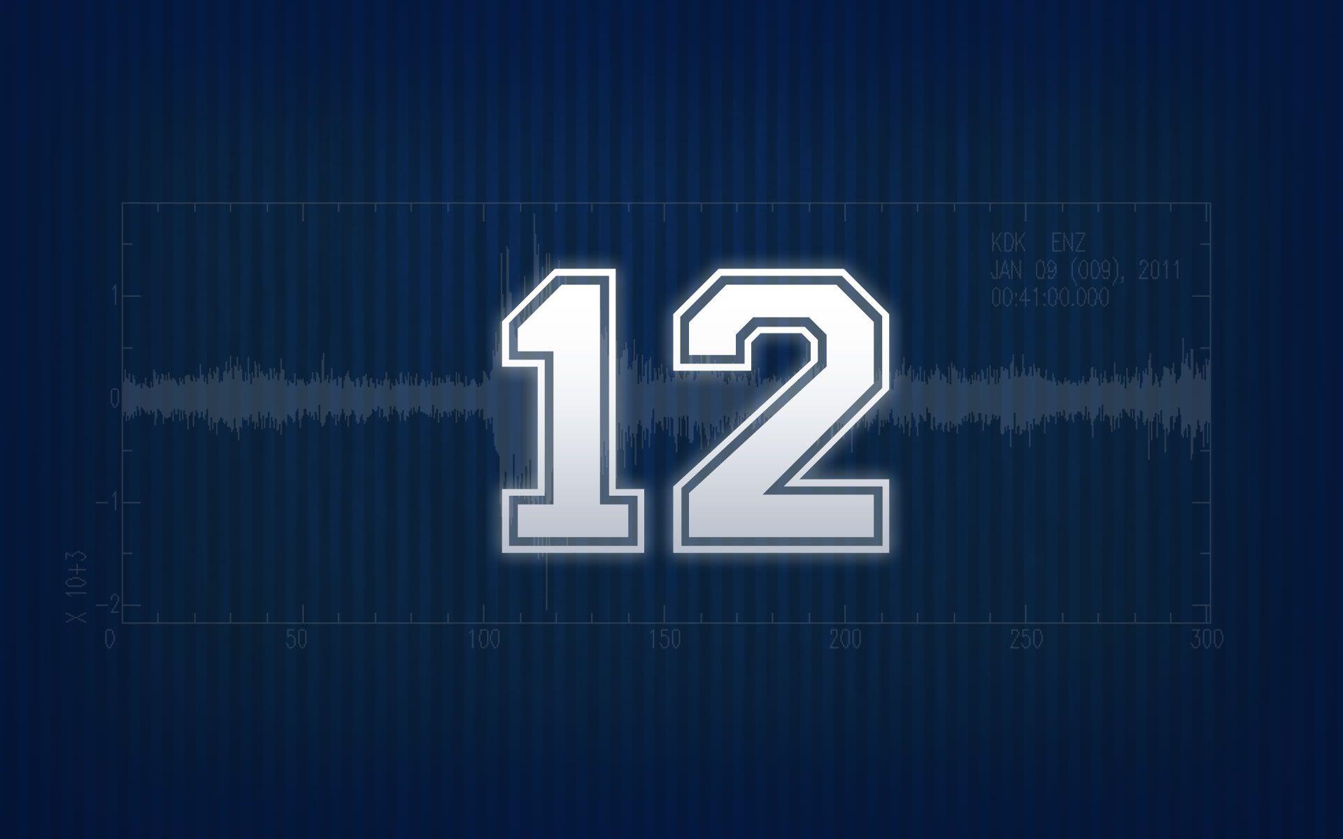 SEATTLE SEAHAWKS nfl football