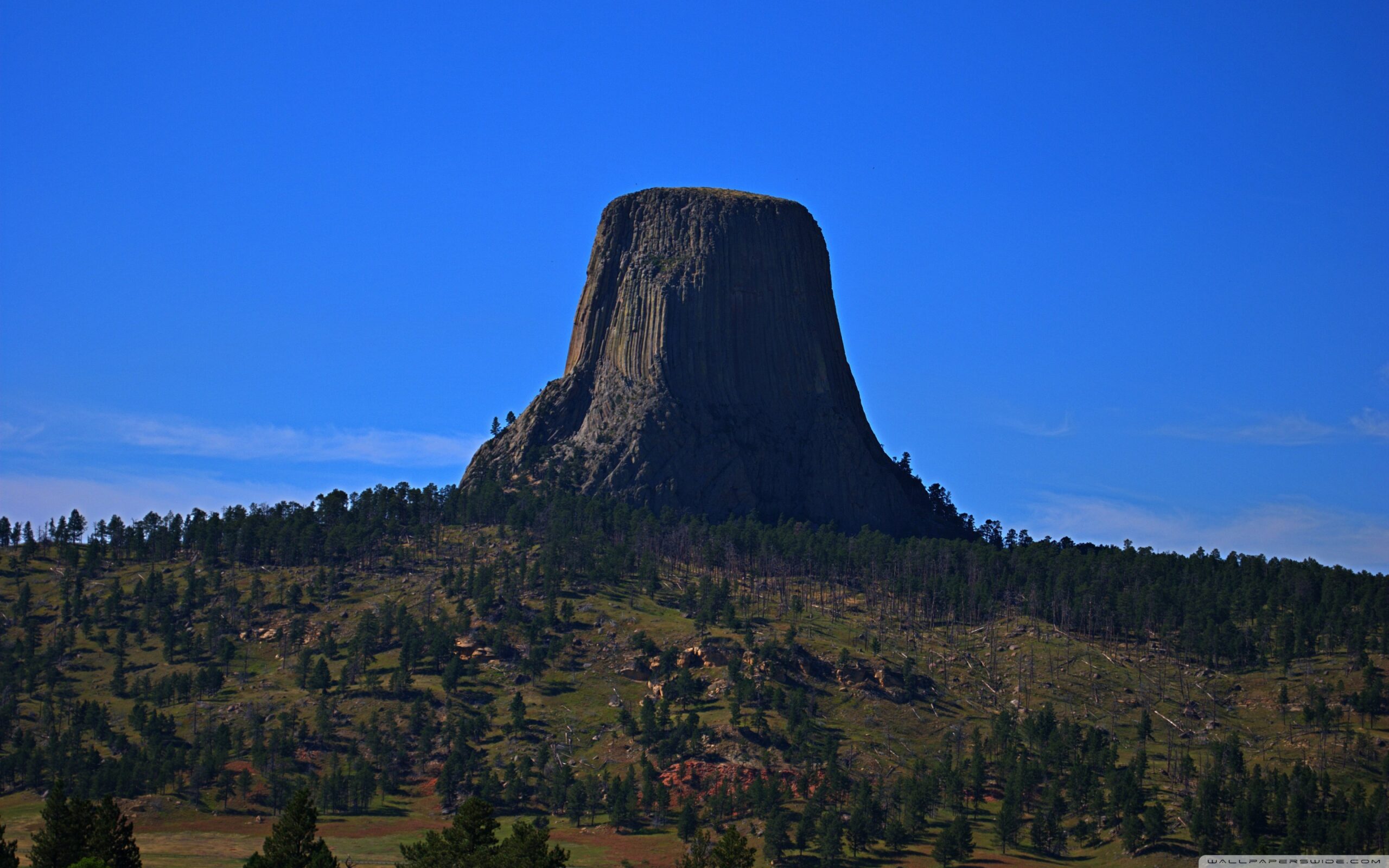 Devils Tower from a Distance ❤ 4K HD Desktop Wallpapers for 4K Ultra