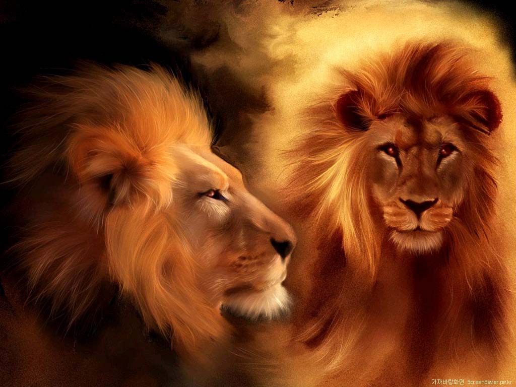 Animals For > Lion Wallpapers 3d