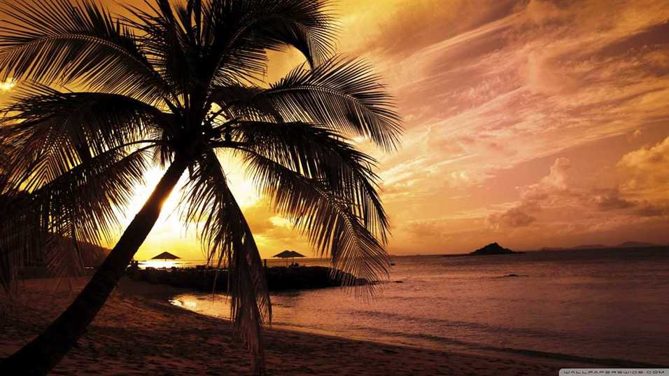 Download Sunset Beach Wallpapers 70+ pictuers)