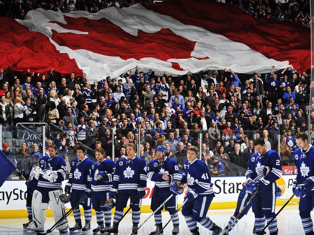 Maple Leafs Game Night Entertainment: Wallpapers