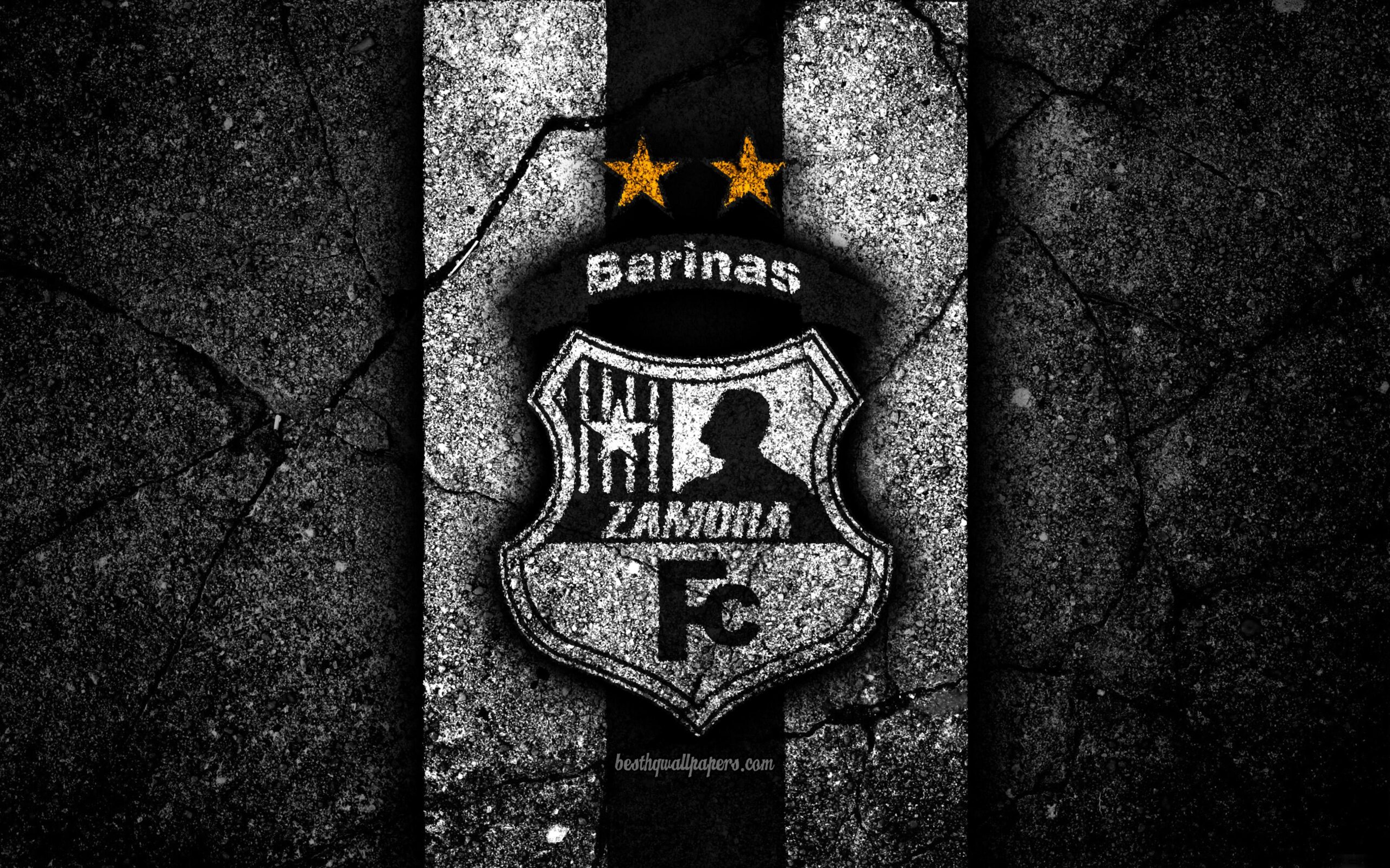 Download wallpapers 4k, FC Zamora, logo, La Liga FutVe, black stone