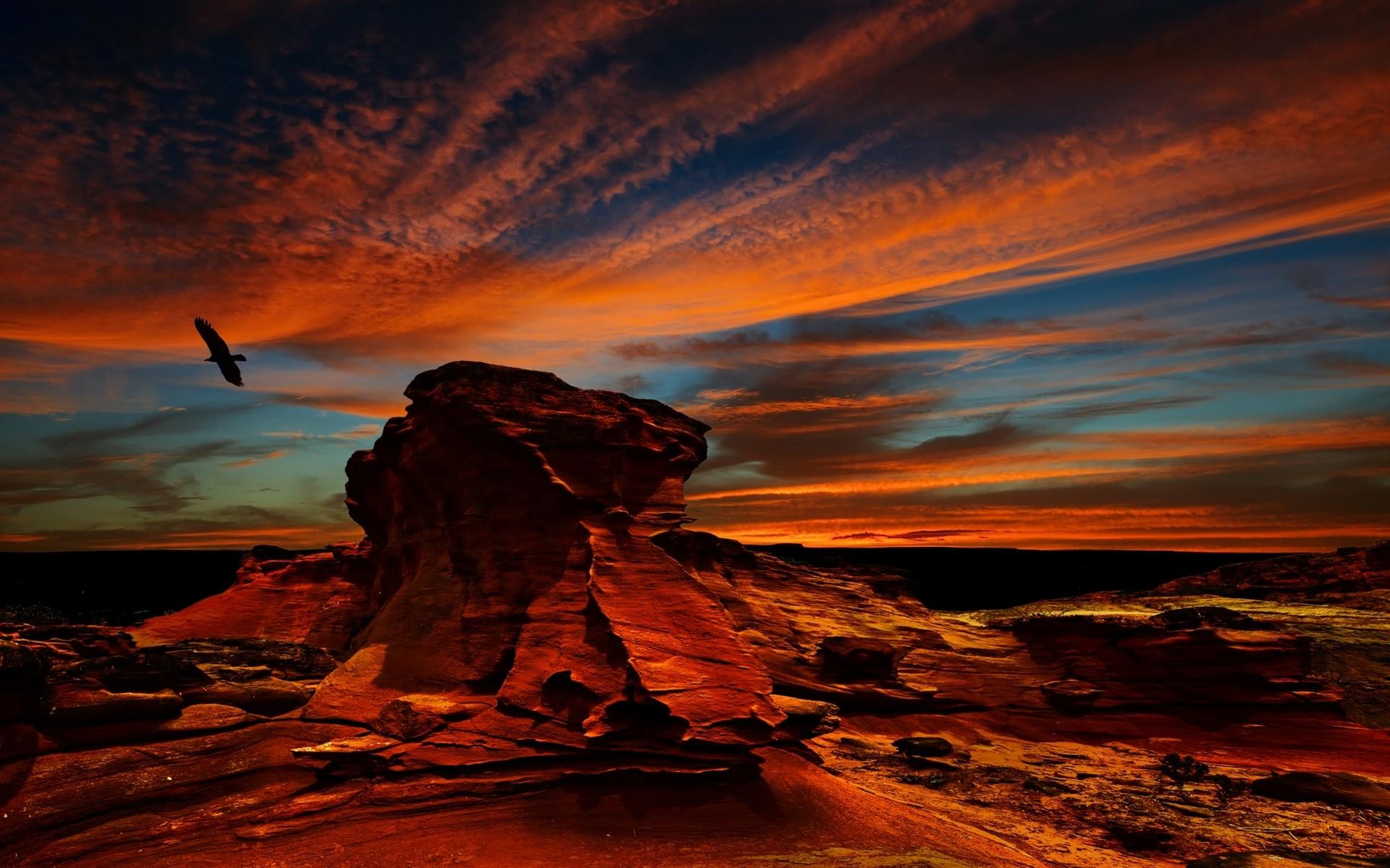 desert, Atacama Desert, Sunset, Rock, Erosion, Birds, Condors