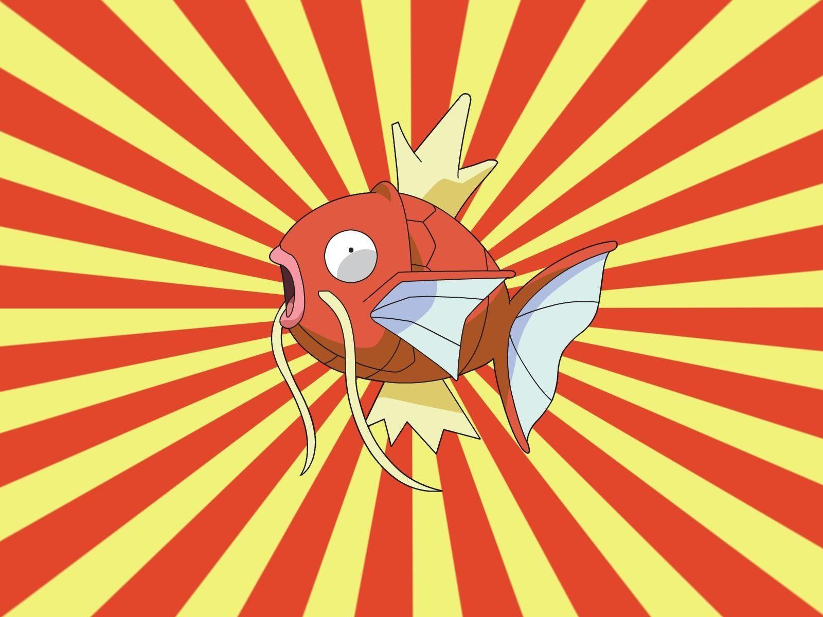 pokemon magikarp wallpapers High Quality Wallpapers,High