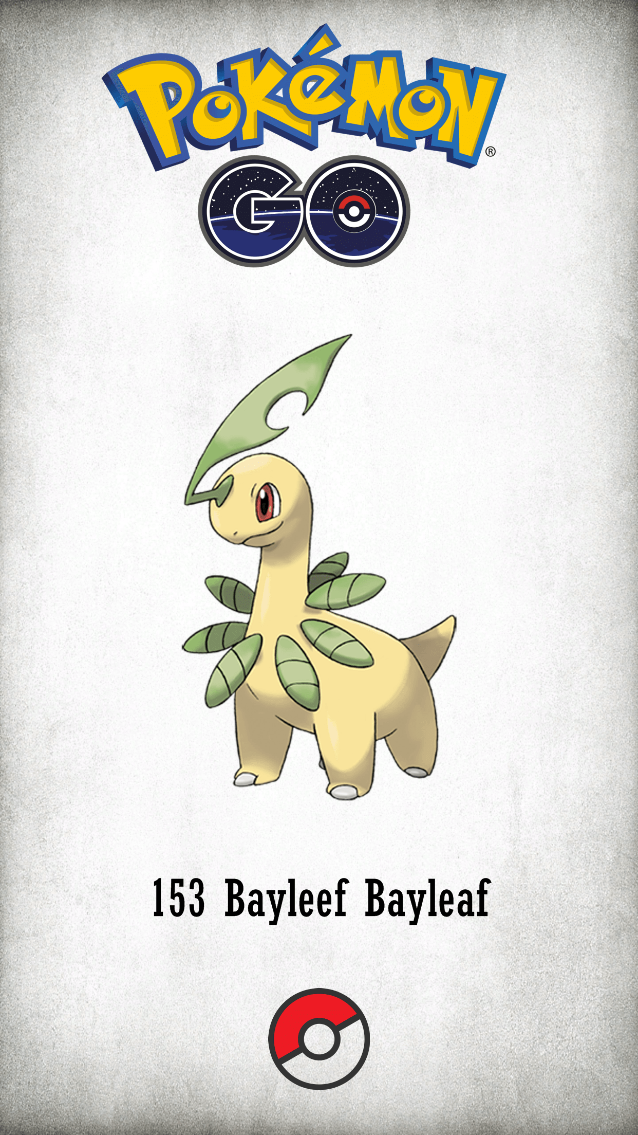 153 Character Bayleef Bayleaf