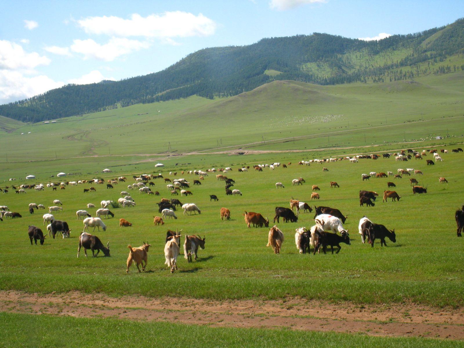 Mongolia