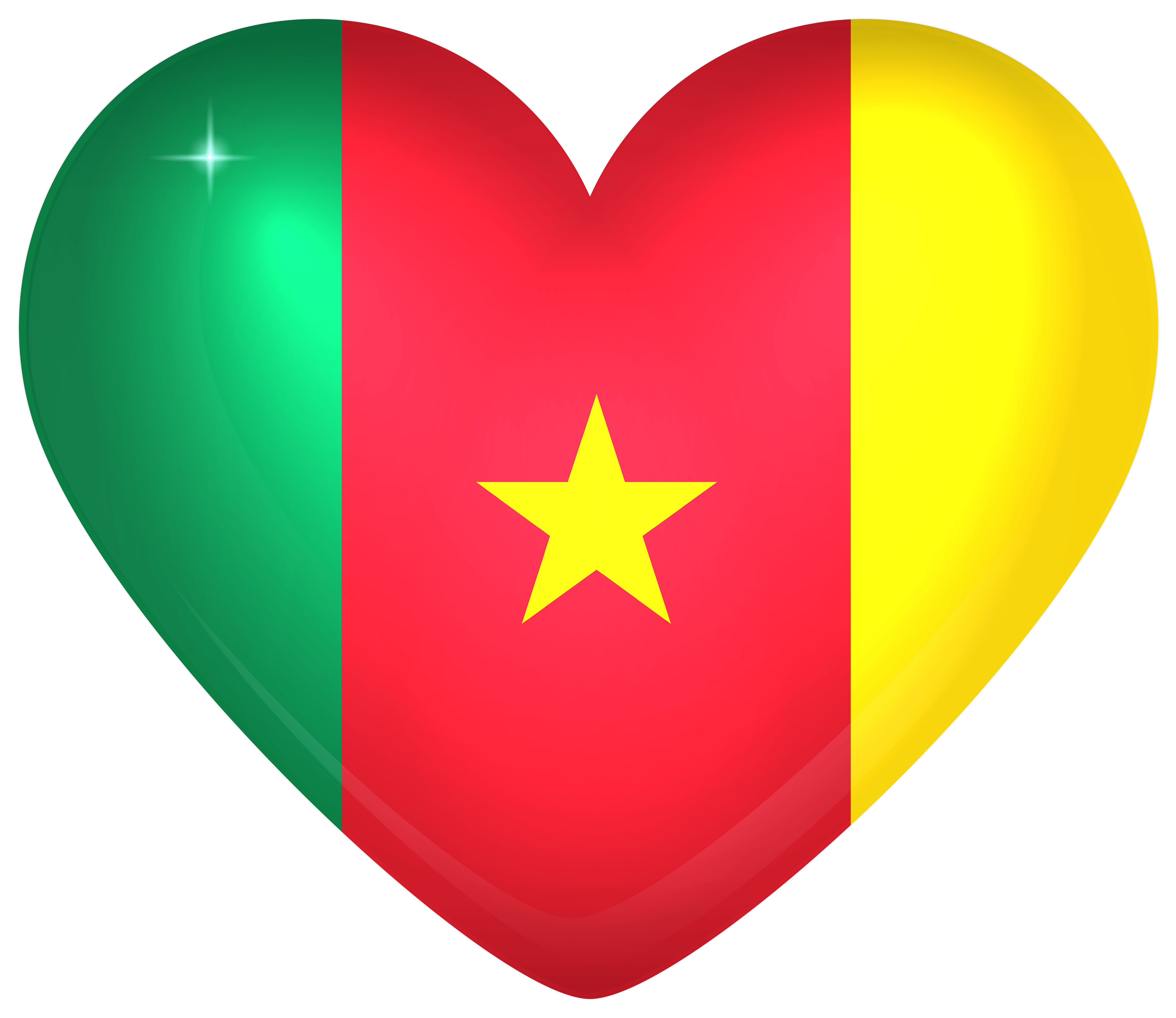 Cameroon Large Heart Flag