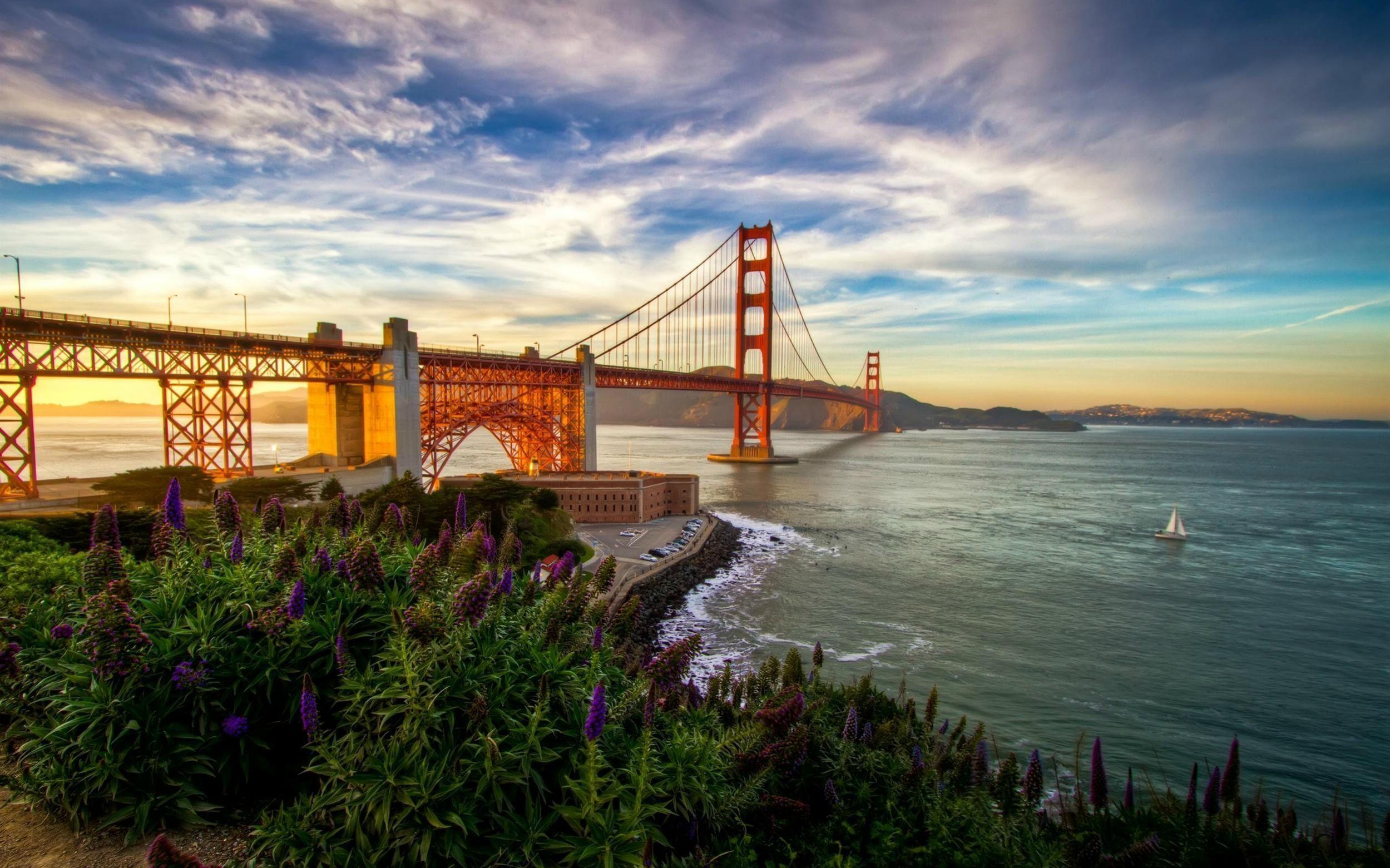 Daily Wallpaper: Summer in San Francisco