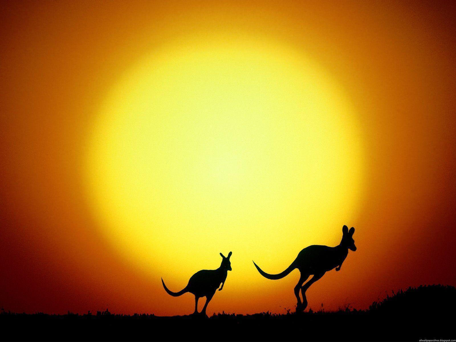 Amazing 43 Wallpapers of Australia, Top Australia Collection