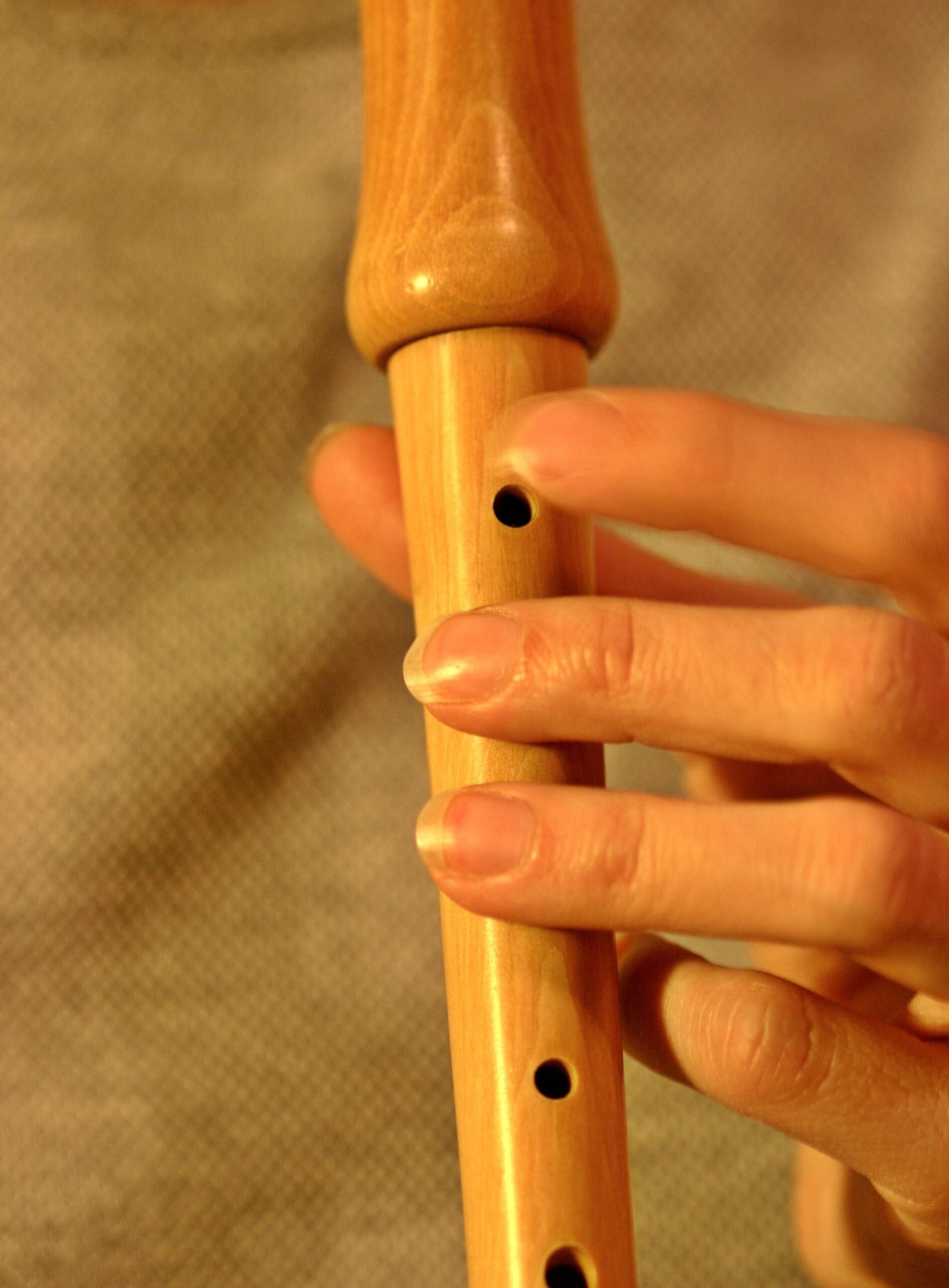 Recorder, Music, Flute, human hand, human body part free image