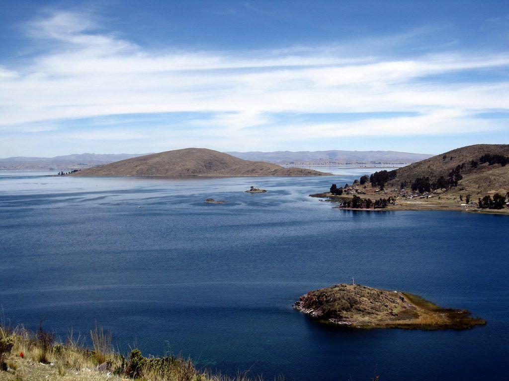 Birds. Lake Titicaca Bolivia HD wallpapers wallpapers free download