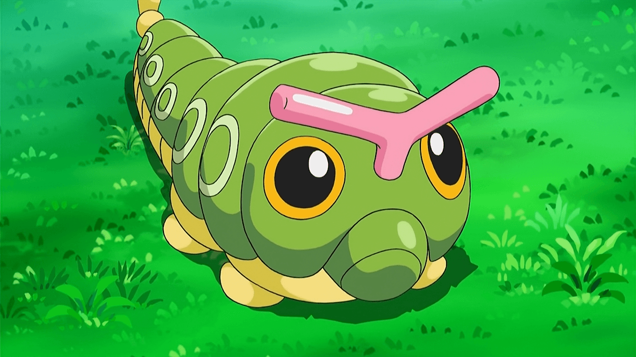 Caterpie