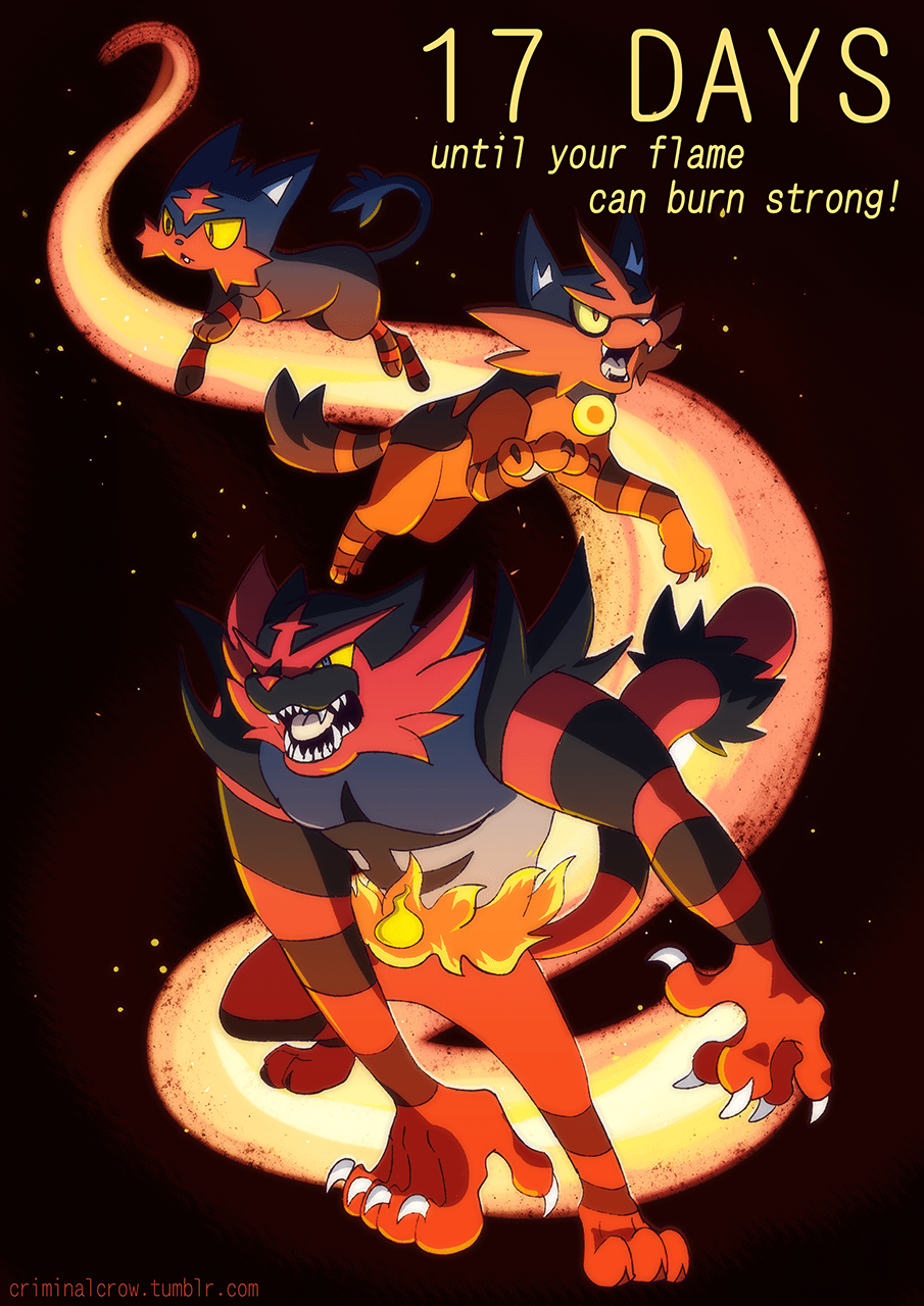 Litten, Torracat, and Incineroar