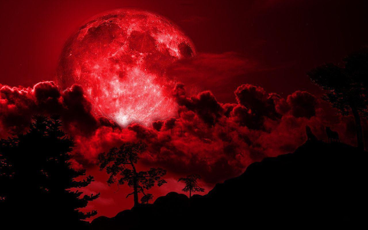 Red Full Moon Wallpapers