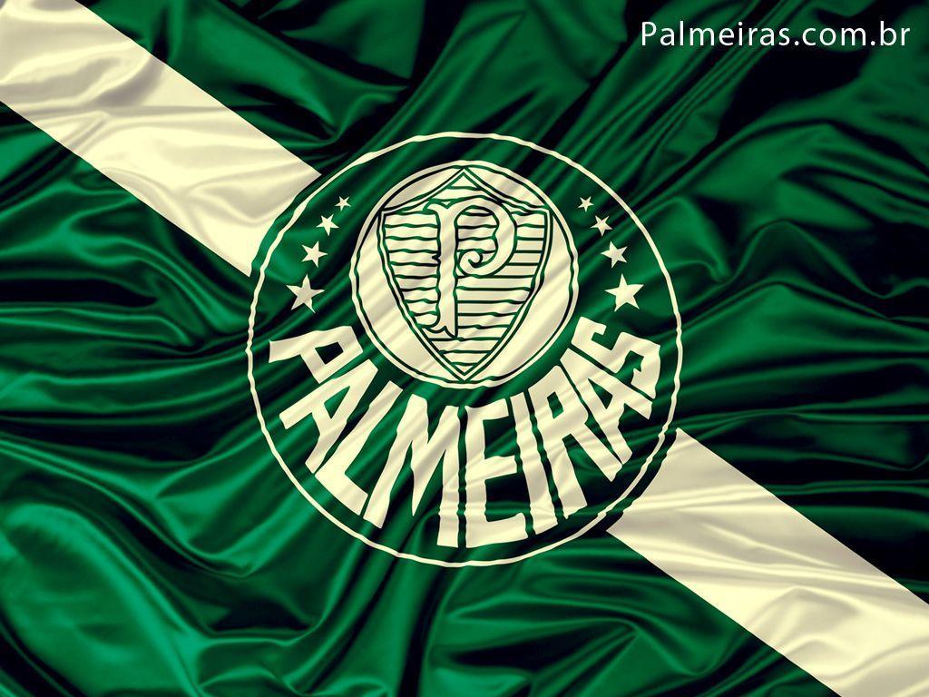 Wallpapers Palmeiras By Osnms Deiog And Stock Photos