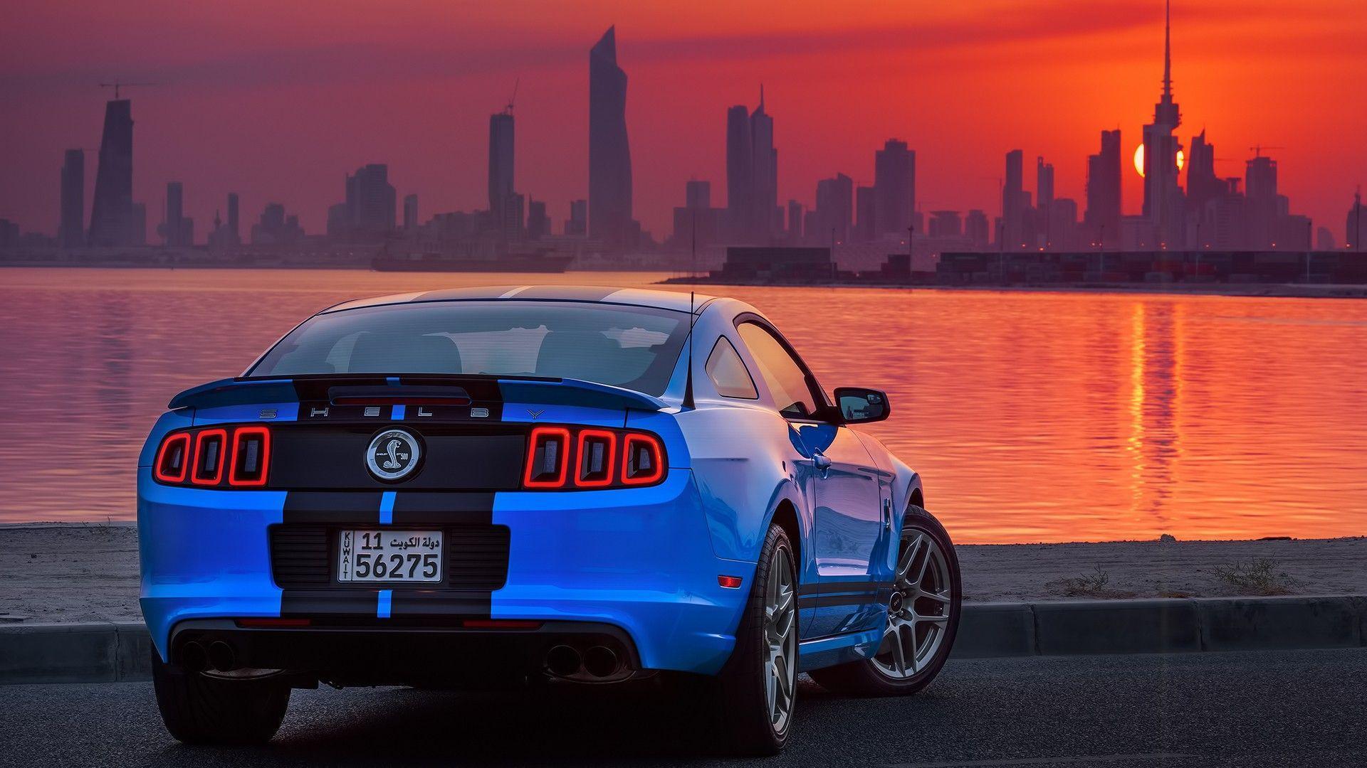 Shelby GT500, Ford USA, Car, Ford Mustang Shelby, Sunrise, Kuwait