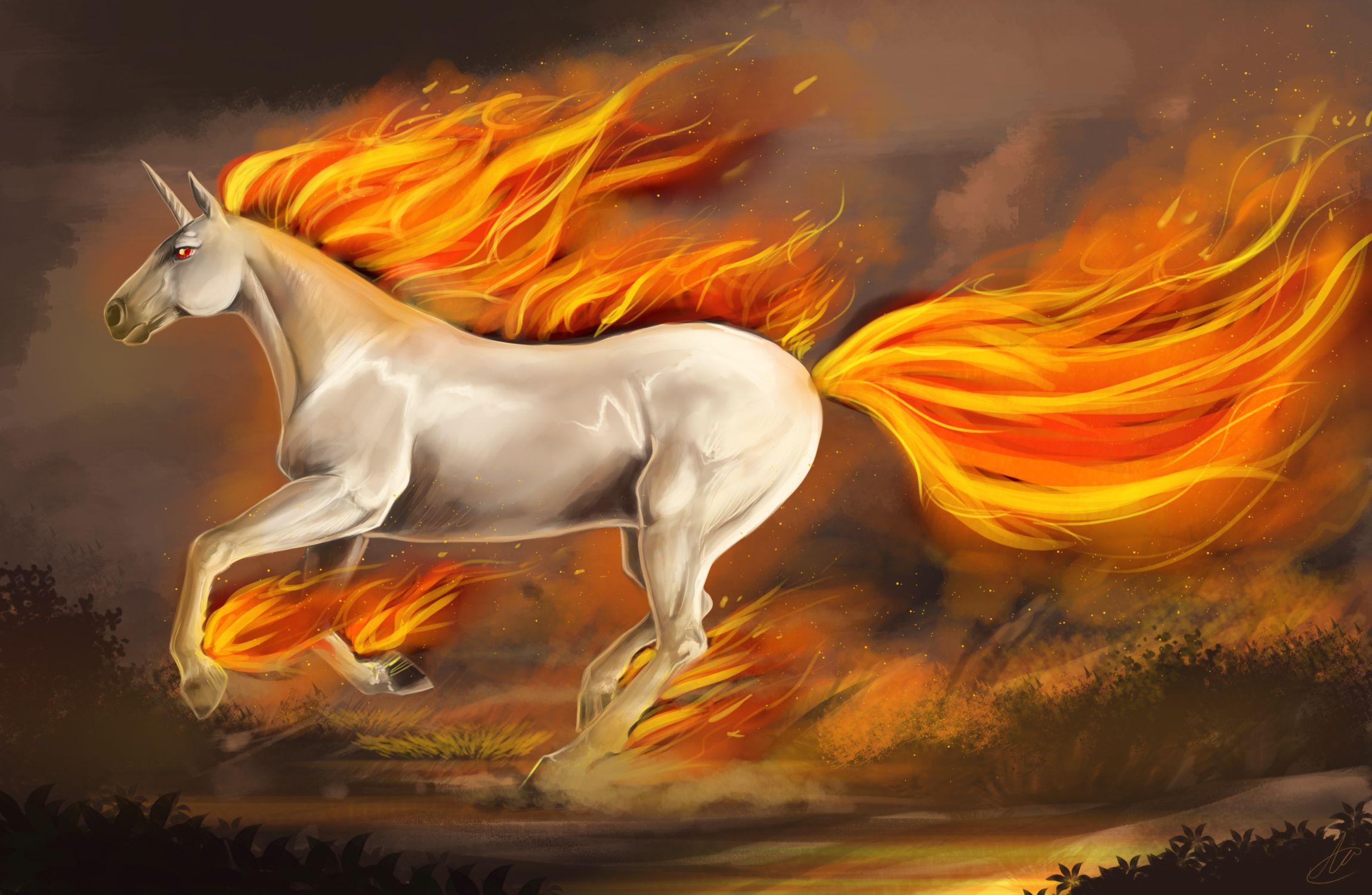 Unicorn wallpapers and image wallpapers pictures photos