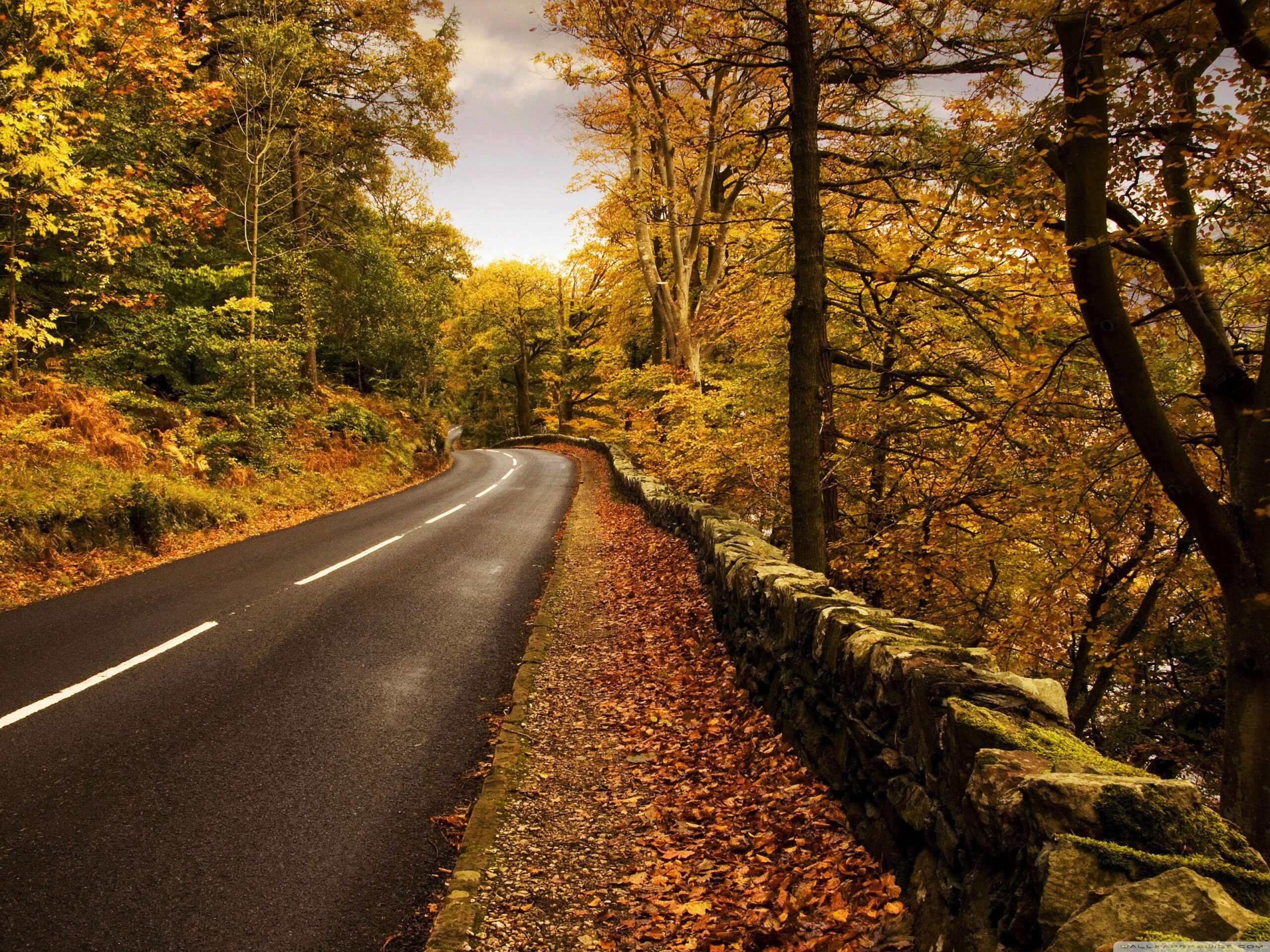 Autumn Road ❤ 4K HD Desktop Wallpapers for 4K Ultra HD TV • Dual