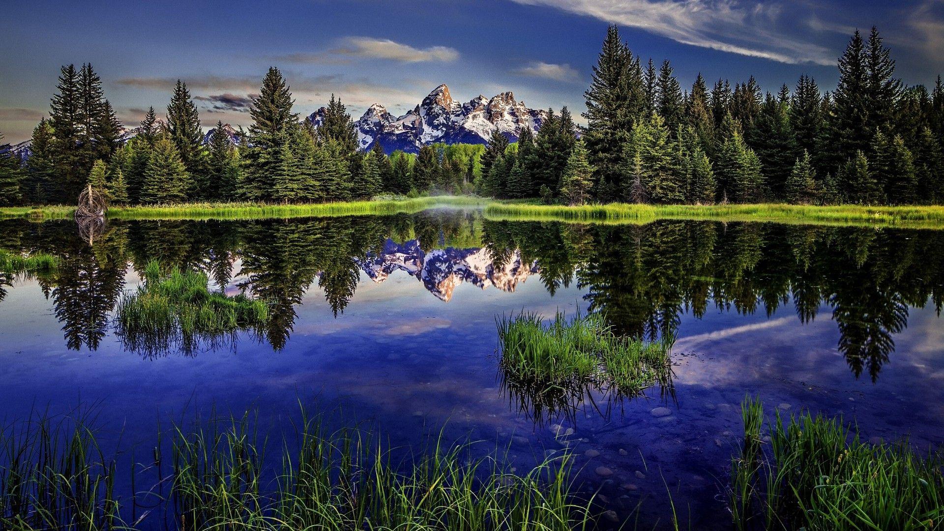 Free Forest Lake Park Landscape Reflection Wyoming