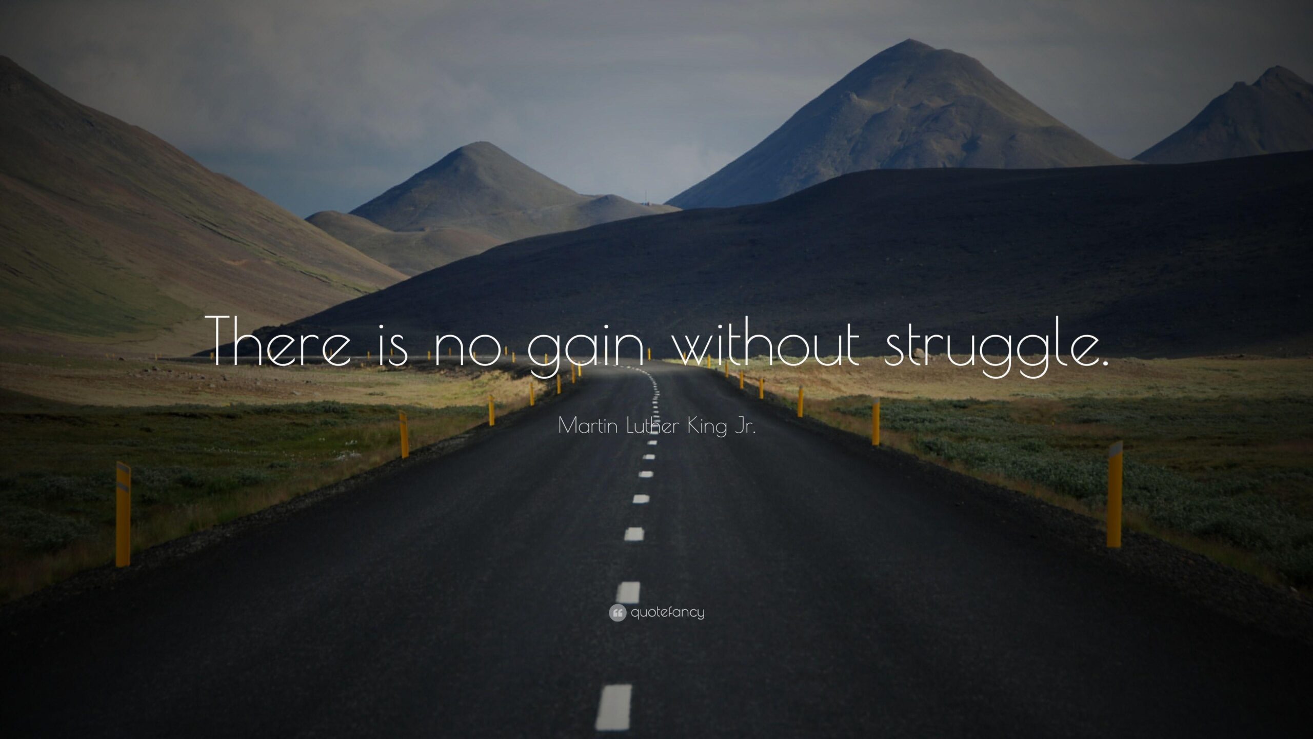 Martin Luther King Jr. Quote: “There is no gain without struggle