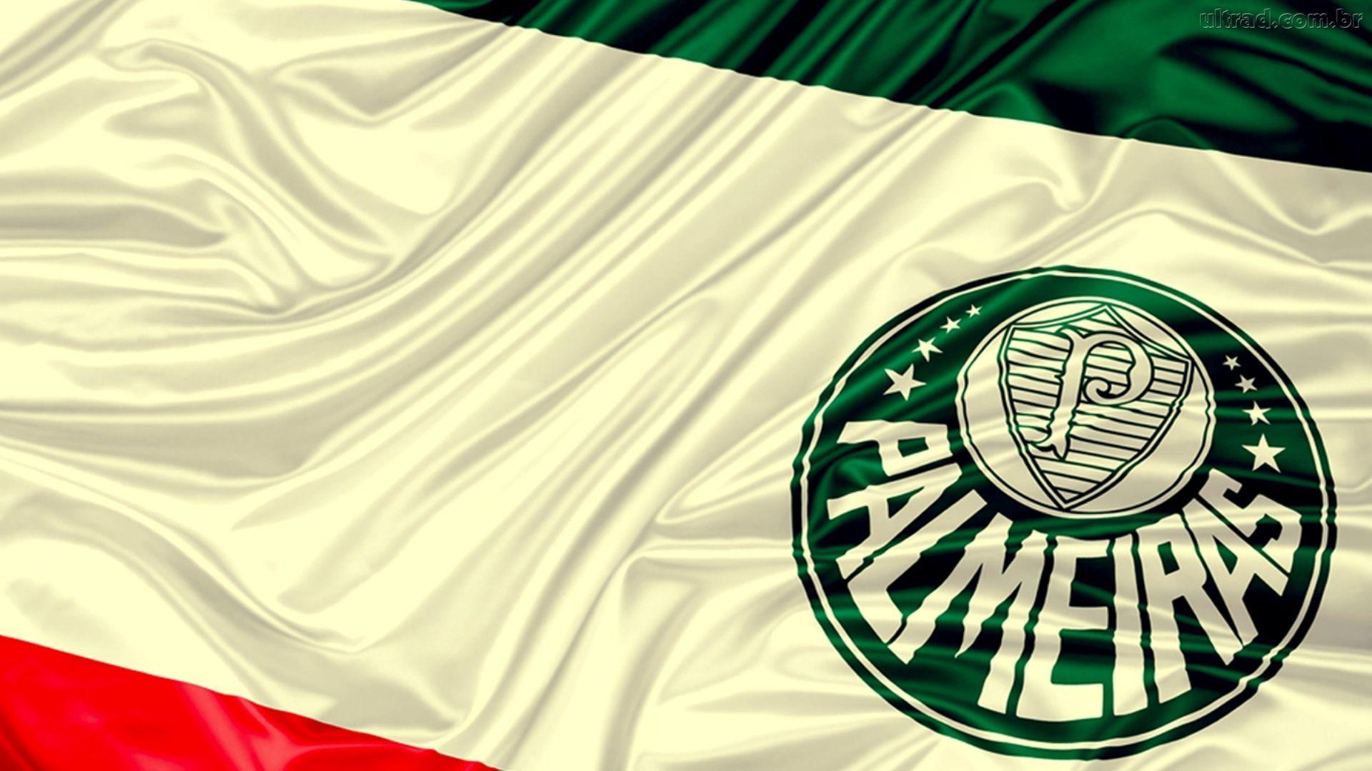 wallpapers palmeiras Gallery