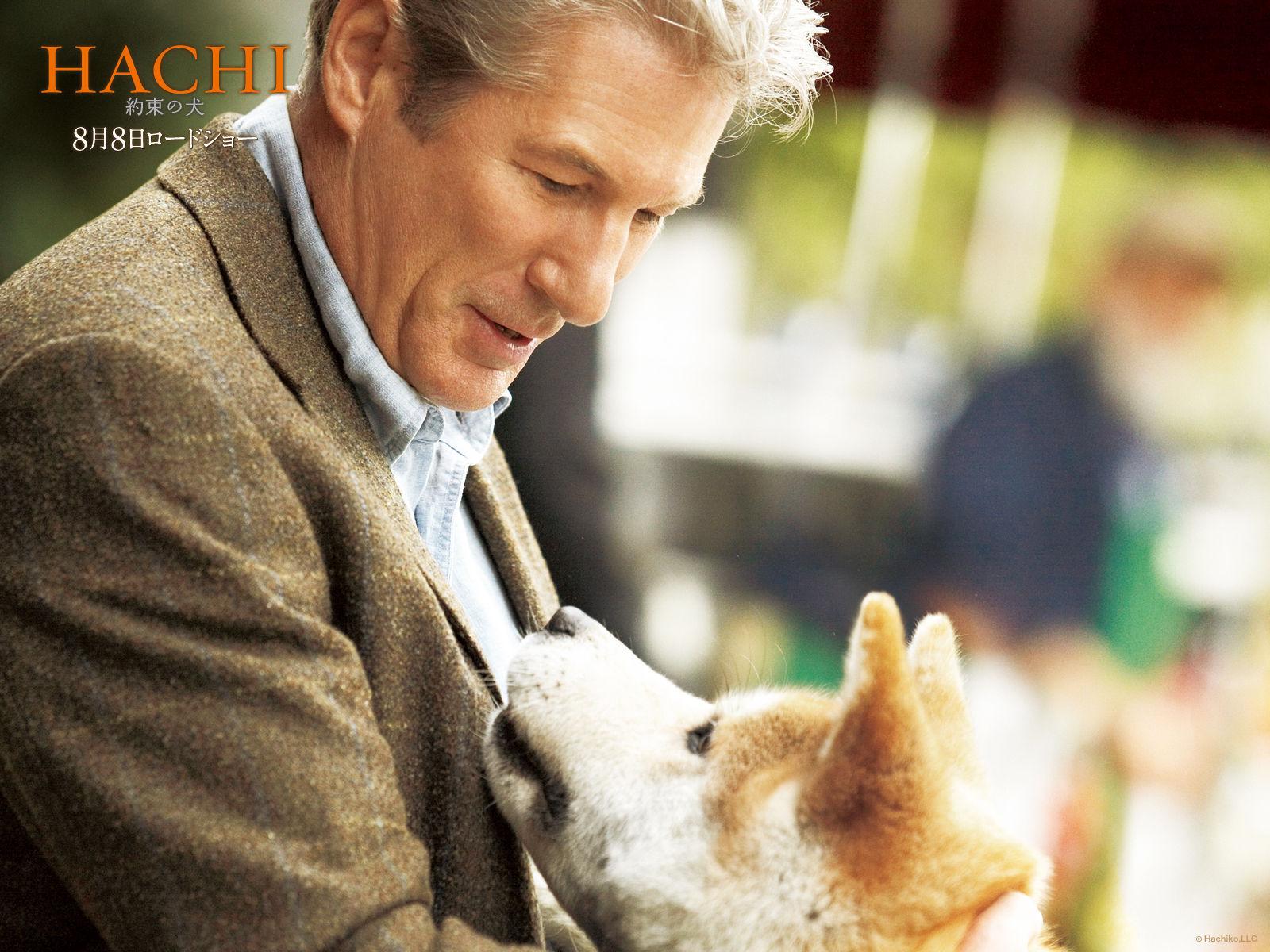 Akita Inu and Richard Gere, the film Hachiko wallpapers and image